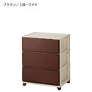 ブラウン