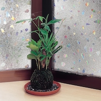 46×90 ・92×90／オーロラ