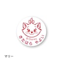 おしゃれキャットマリー
