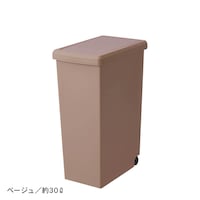 ベージュ／約30リットル