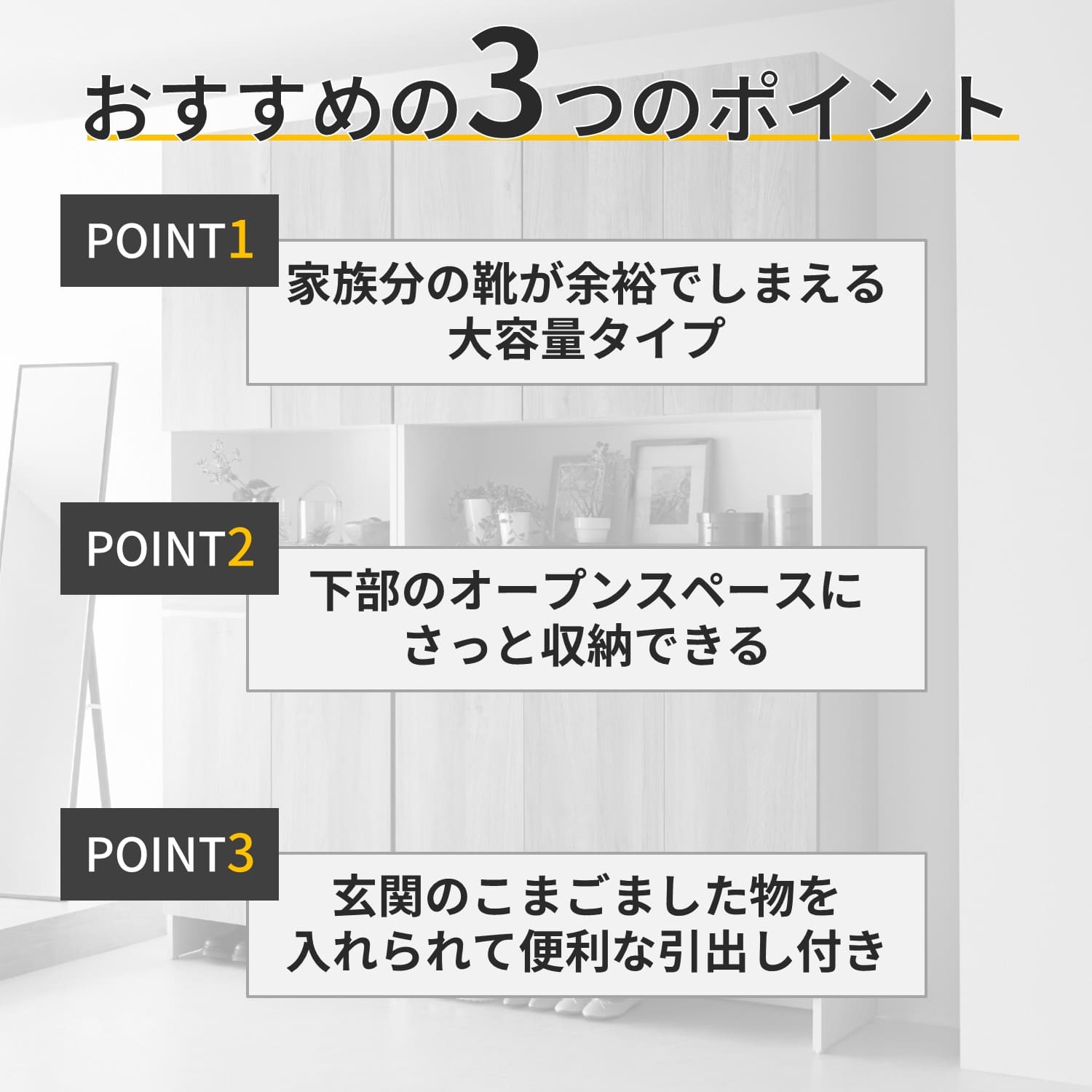 大容量のシューズボックス（下駄箱/シューズボックス）｜通販の