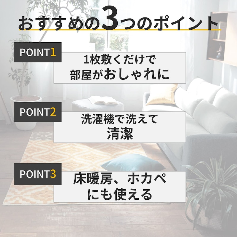 おすすめポイント