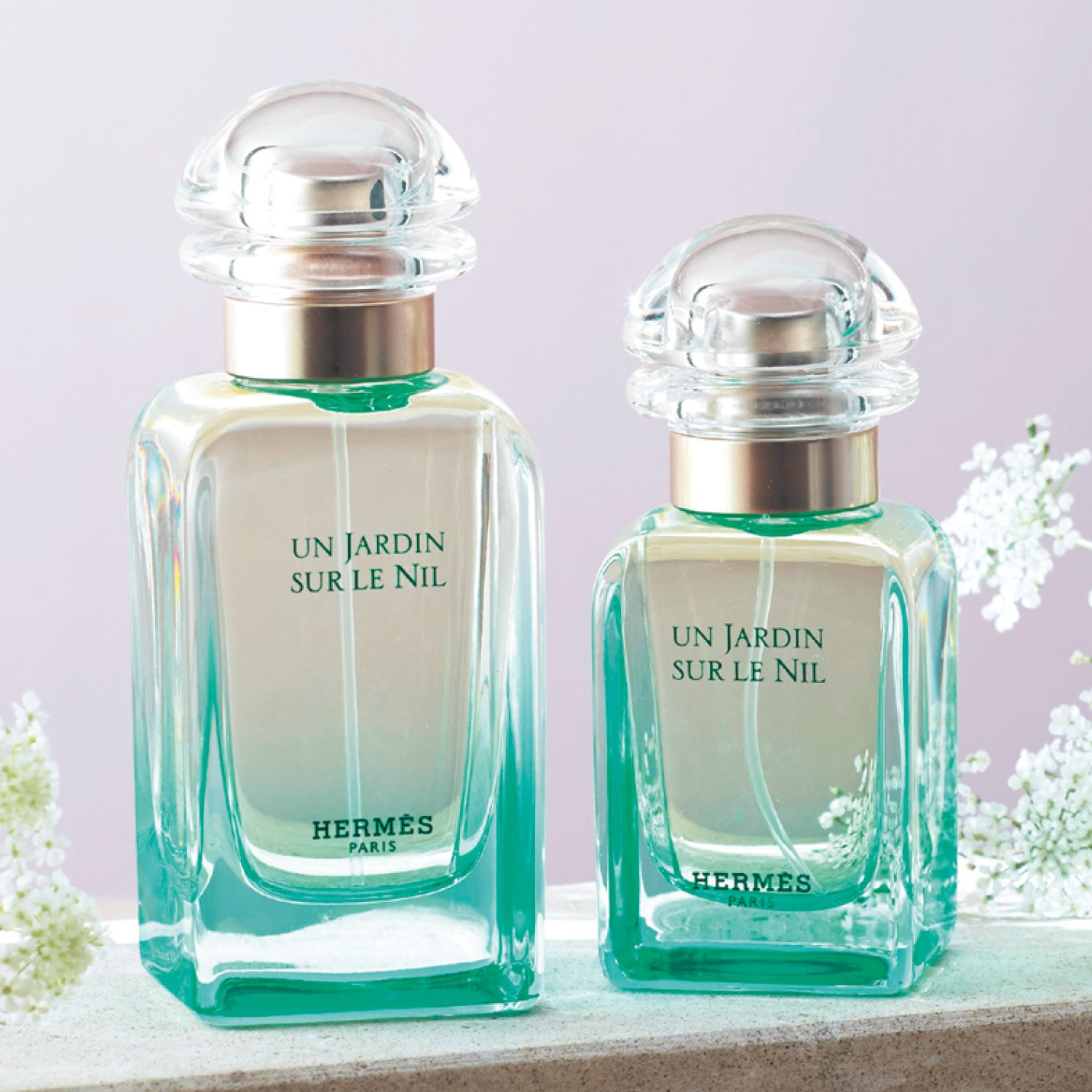 HERMES エルメス ナイルの庭 オードトワレ 100ml EDT未開封