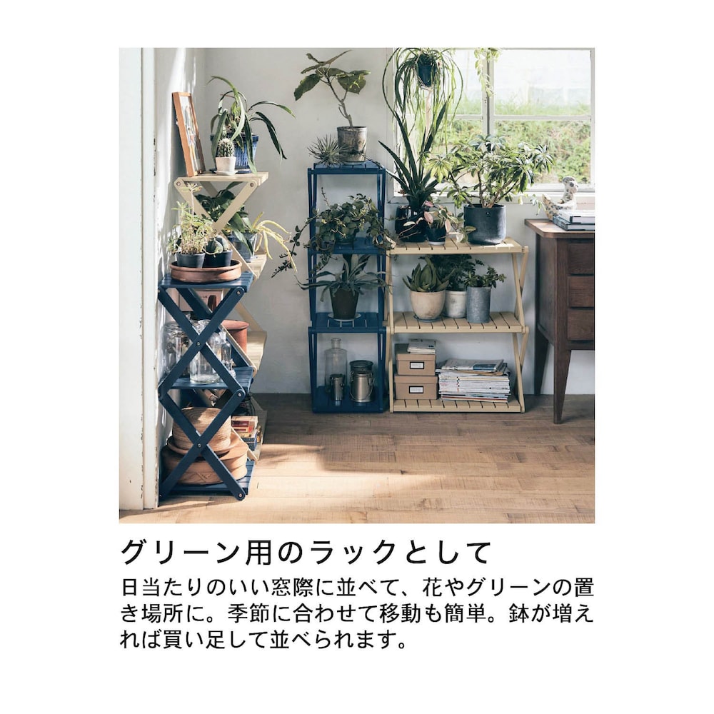 ネイビー、ベージュ