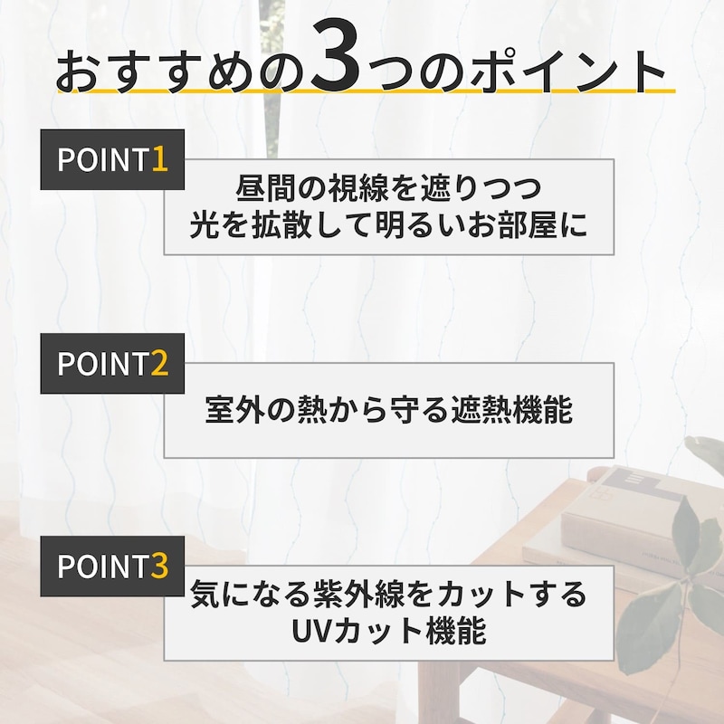 おすすめポイント
