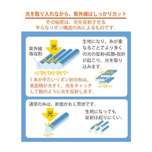 おすすめポイント
