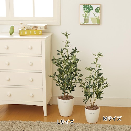 消臭フェイクグリーン「オリーブ」 ＜高さ約７３／約９０ｃｍ＞