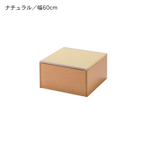 【4月5日まで大型商品送料無料】 樹脂畳ユニットボックス（ロータイプ）