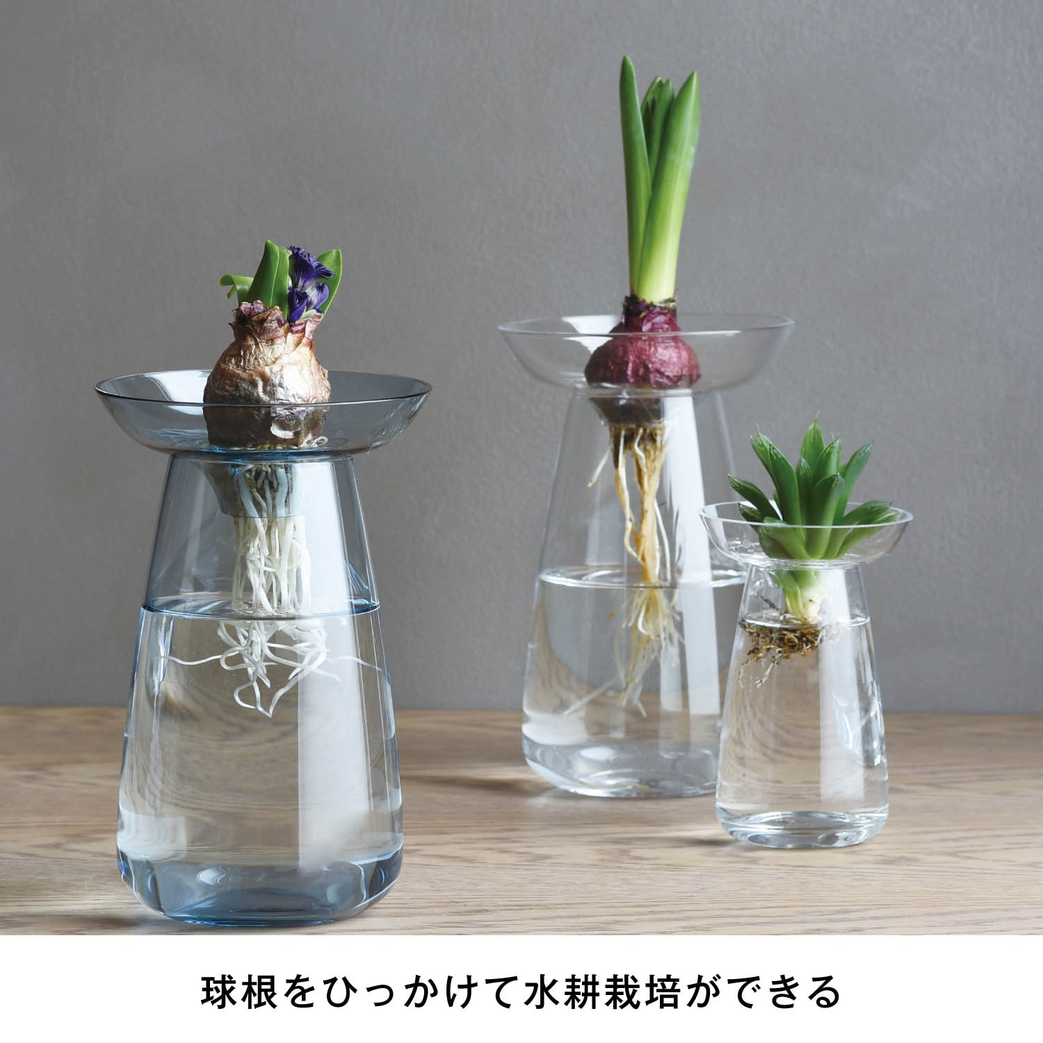 【キントー/KINTO】水耕栽培が愉しめる花瓶「AQUA CULTURE VASE」画像