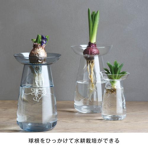 水耕栽培が愉しめる花瓶「AQUA CULTURE VASE」