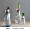 【キントー/KINTO】水耕栽培が愉しめる花瓶「AQUA CULTURE VASE」