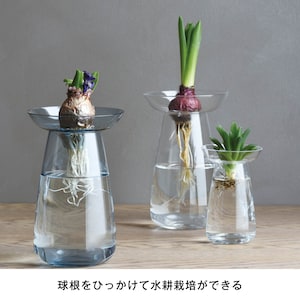 【キントー/KINTO】水耕栽培が愉しめる花瓶「AQUA CULTURE VASE」