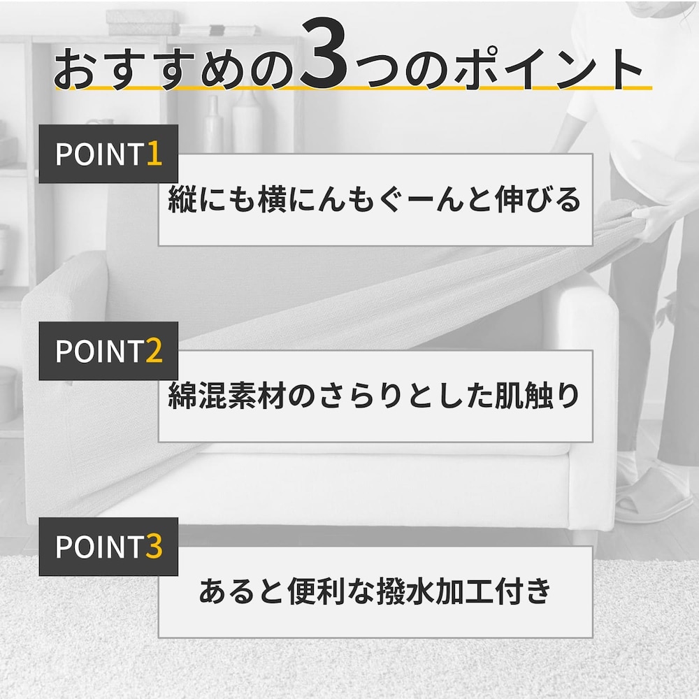 おすすめポイント