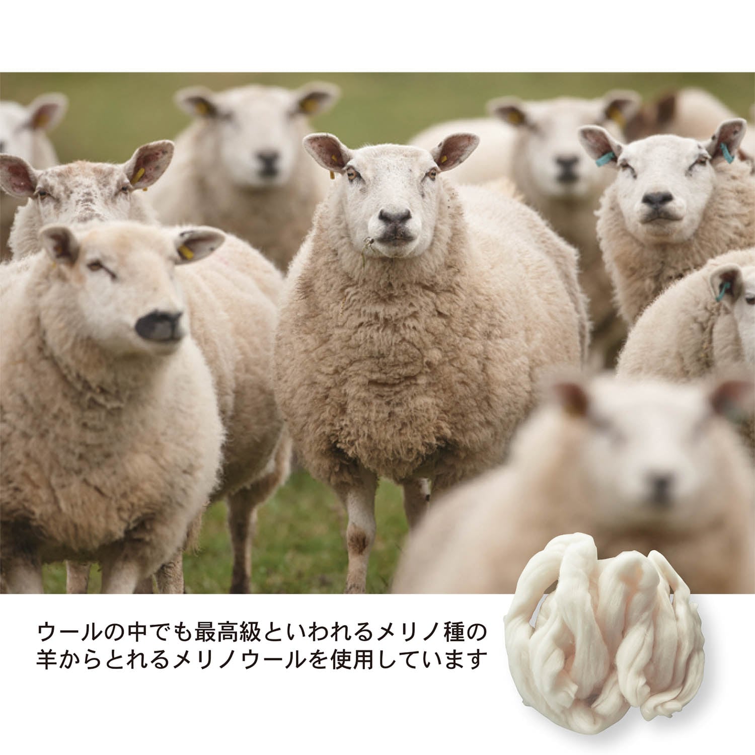 泉州産ウール毛布（毛羽部分）［日本製］