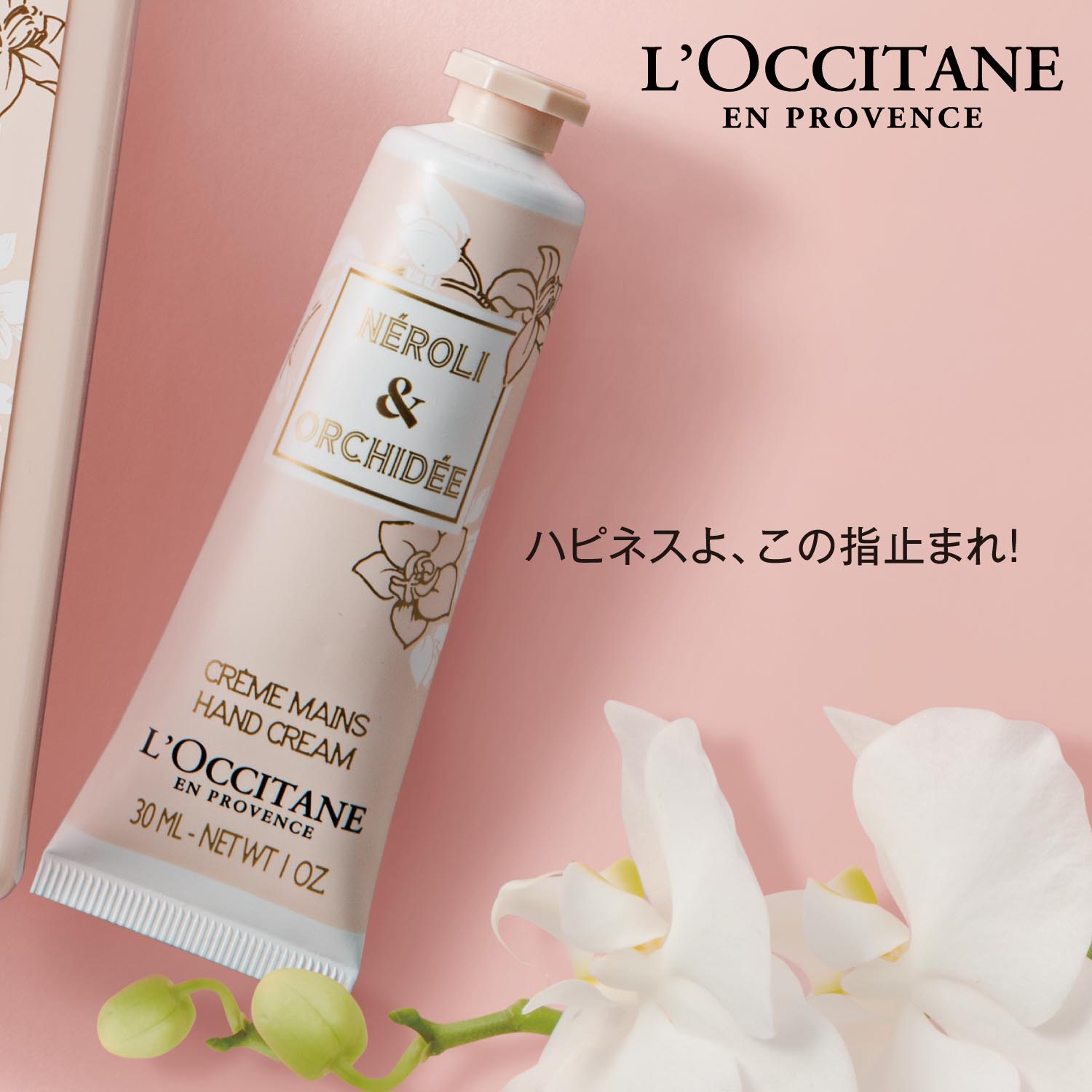 人気ショップが最安値挑戦 L Occitane ロクシタン オーキデ プレミアムハンドクリーム 30ml ギフトbox入り Rmladv Com Br 人気ショップが最安値挑戦 L Occitane ロクシタン オーキデ プレミアムハンドクリーム 30ml ギフトbox入り Rmladv Com Br