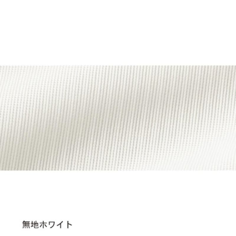 無地ホワイト