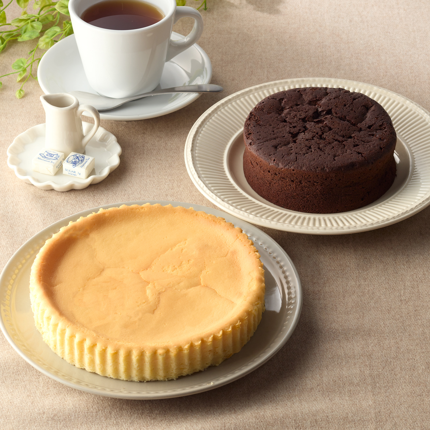 【クリオネ/Clione】濃厚窯出しチーズケーキとガトークラシックショコラ