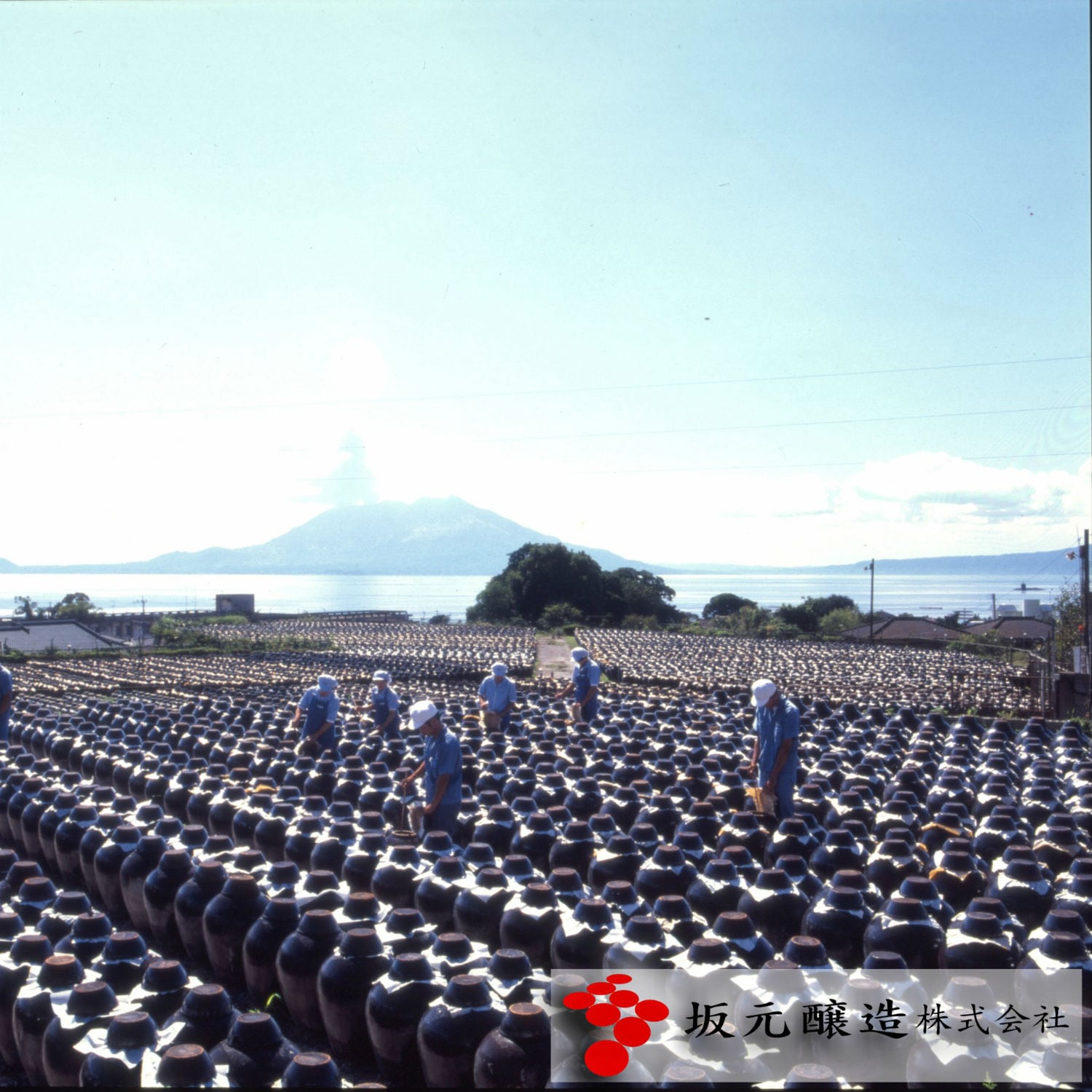 坂元のくろず ３本セット（醤油/味噌/酢/みりん）｜(坂元醸造)｜通販の