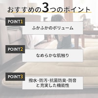 おすすめポイント