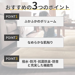 おすすめポイント
