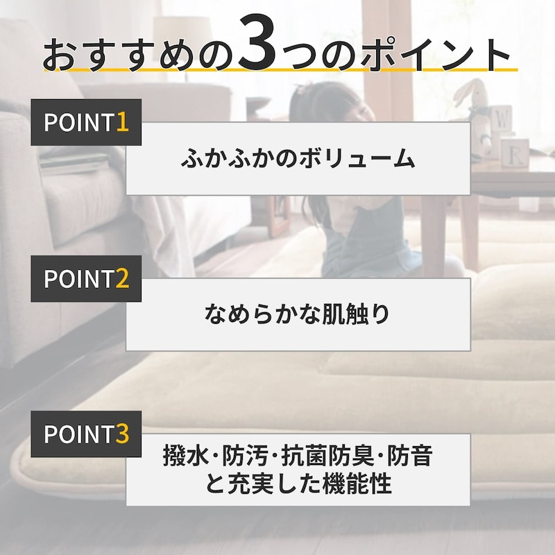 おすすめポイント