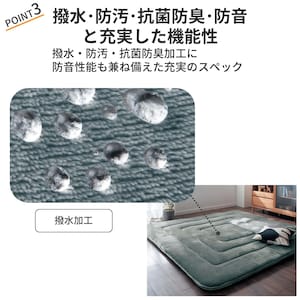 おすすめポイント