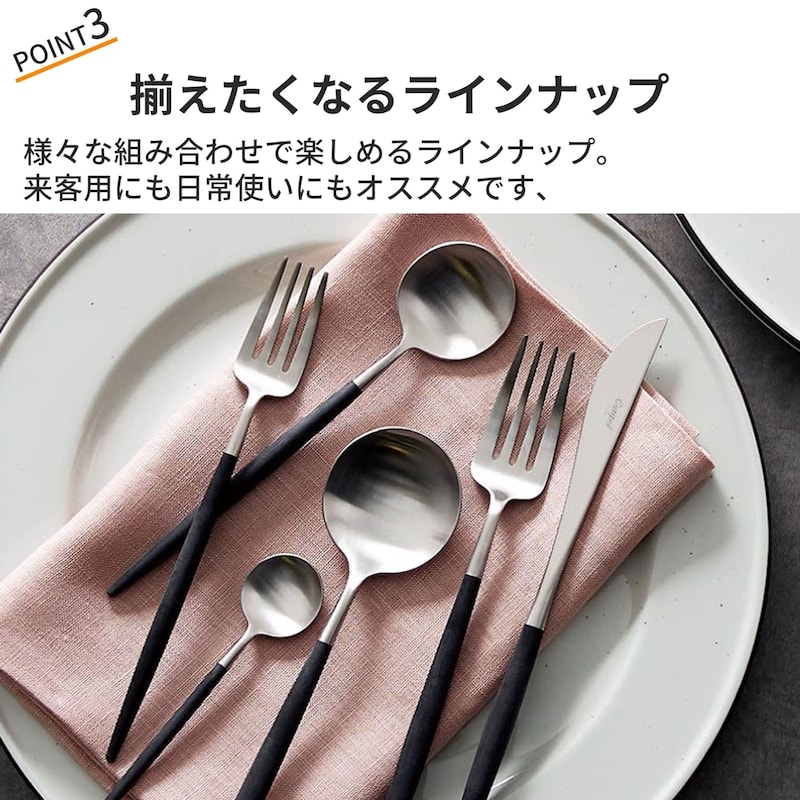 おすすめポイント