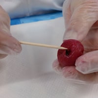 一粒一粒ヘタを取り除く様子