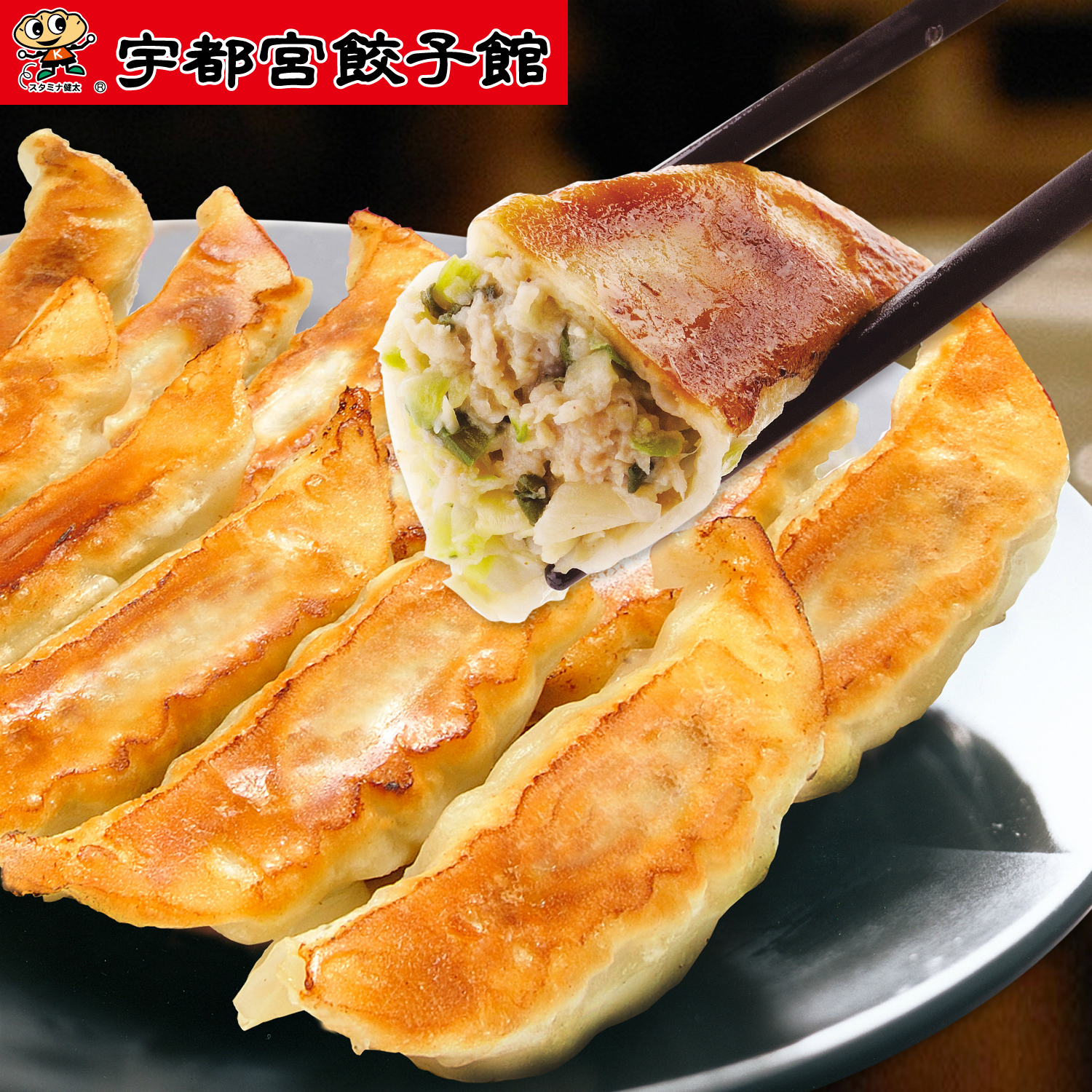 【ベルメゾン】定番人気「健太餃子」詰合せ 64個 【ベルメゾン】定番人気「健太餃子」詰合せ 64個