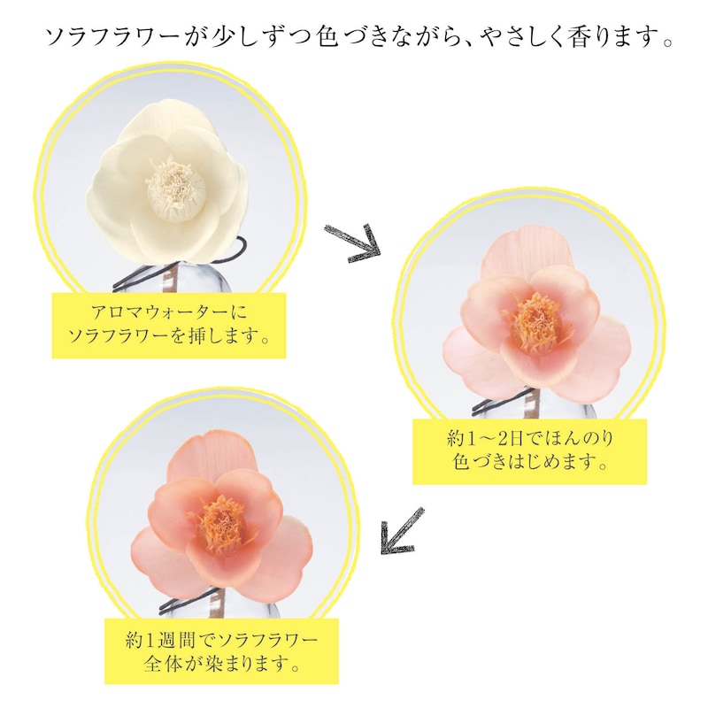 ※画像のデザインは売り切れです。