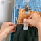 スカートもバーの片側の取り外しが可能