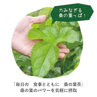 農薬不使用栽培にこだわり、朝収穫した桑の葉はその日のうちに製茶します