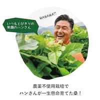 集落の高齢化で桑の生産量が減少する中、自ら桑の栽培を始め、自社管理農場で桑の葉茶を生産するハンさん