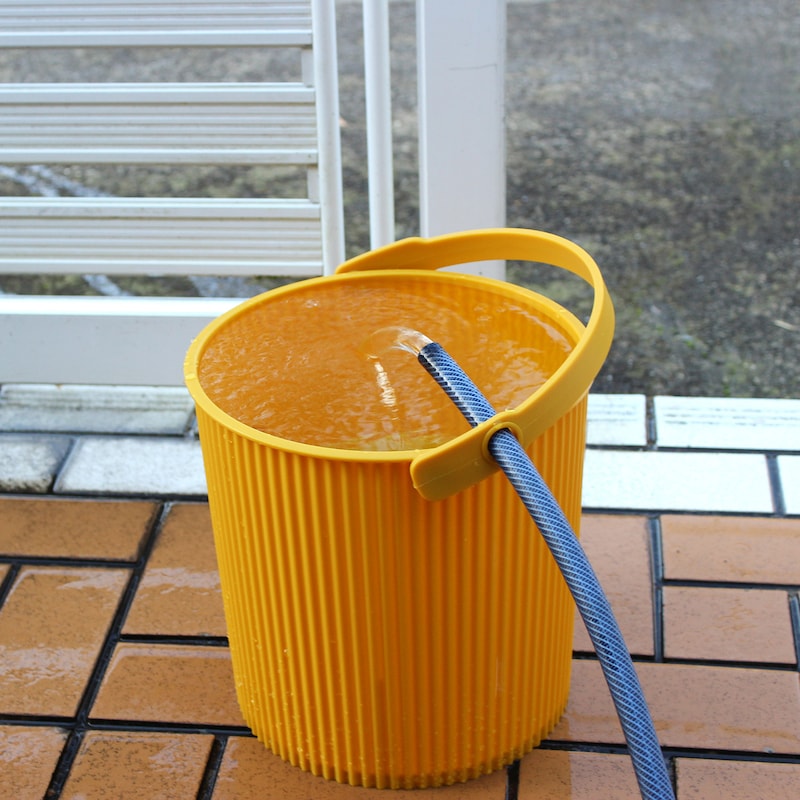 マスタード