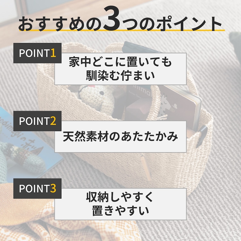 おすすめポイント