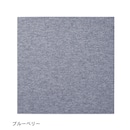 ブルーベリー