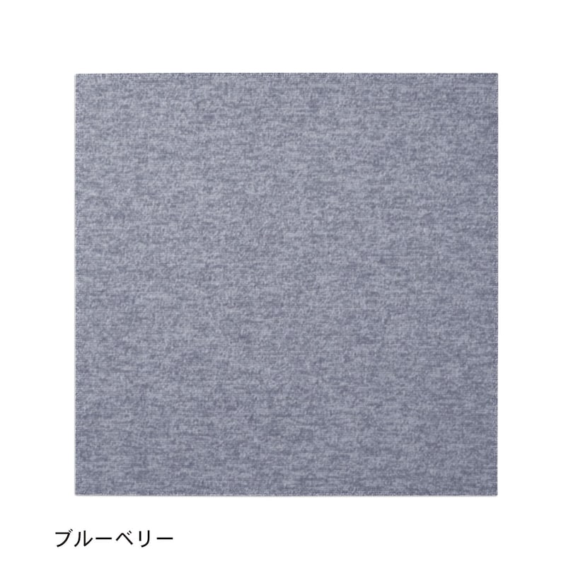 ブルーベリー