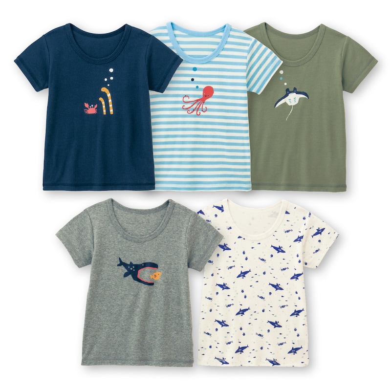 海の生き物（ラベルなし）