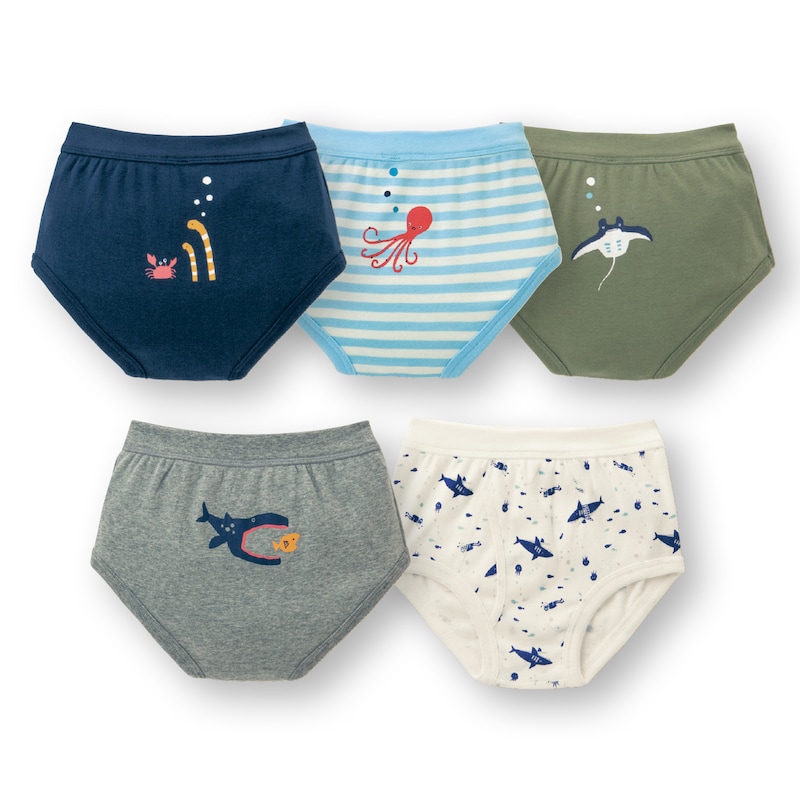 海の生き物（ラベルなし）