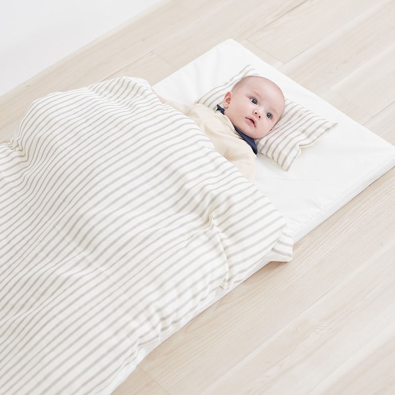 グレーストライプ／モデル身長61.5㎝・体重6.2㎏