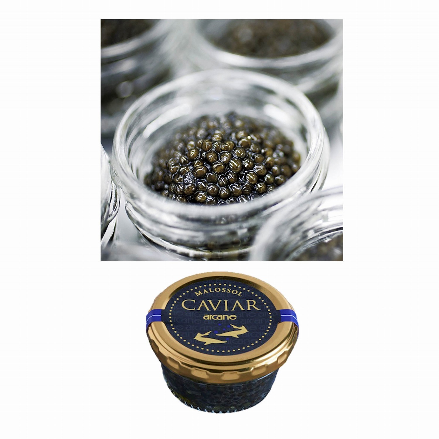 【グルメスタジオFOOVER(フーバー)】フランス産キャビア 50g 【グルメスタジオFOOVER(フーバー)】フランス産キャビア 50g