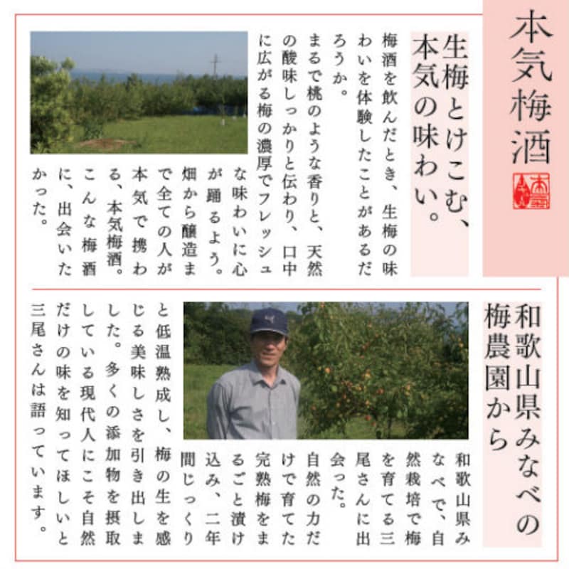 「本気梅酒」こだわり