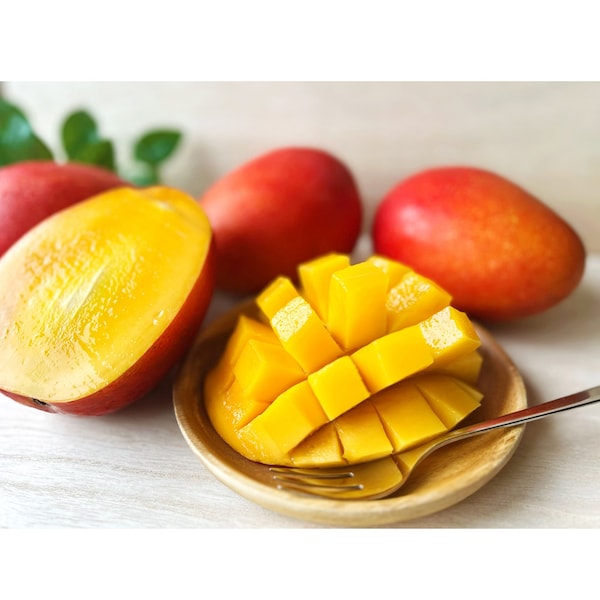 【ベルメゾン】【予約商品】 父の日 宮崎県産完熟マンゴー 【ご注文は6月13日まで】