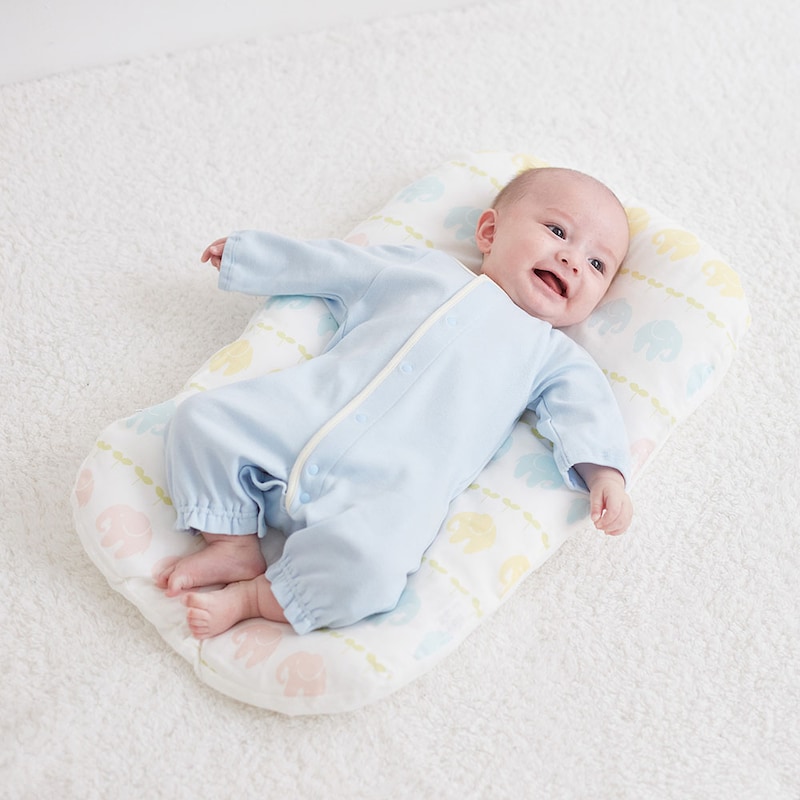 ゾウ／モデル身長61.5㎝・体重6.2㎏