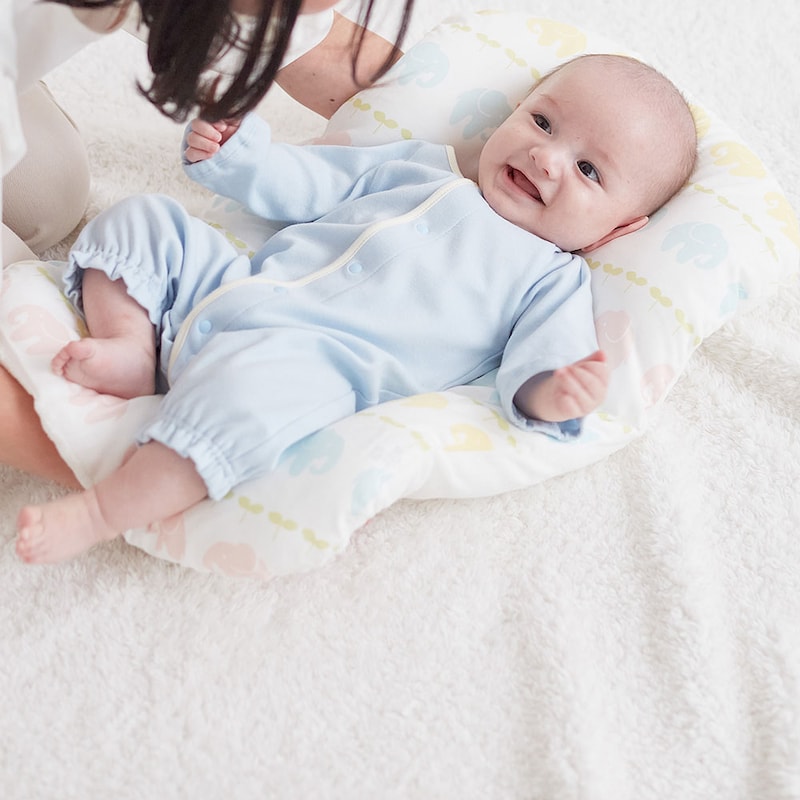 ゾウ／モデル身長61.5㎝・体重6.2㎏