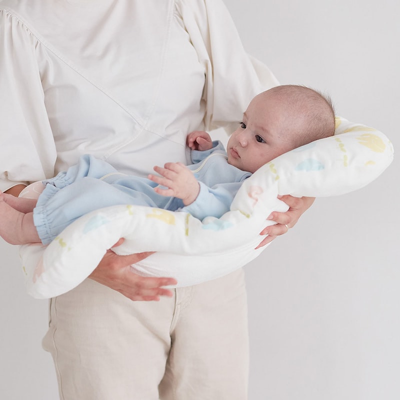 ゾウ／モデル身長61.5㎝・体重6.2㎏