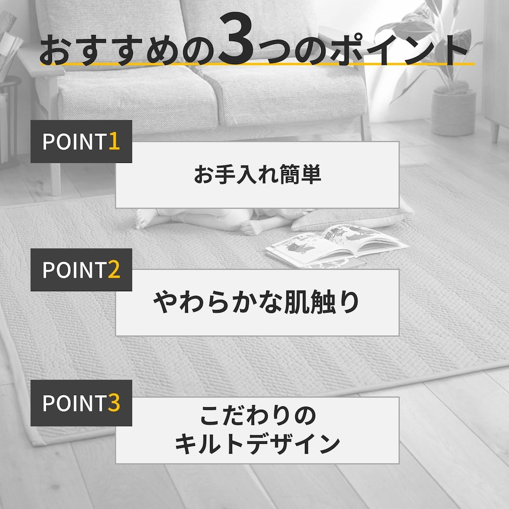 おすすめポイント