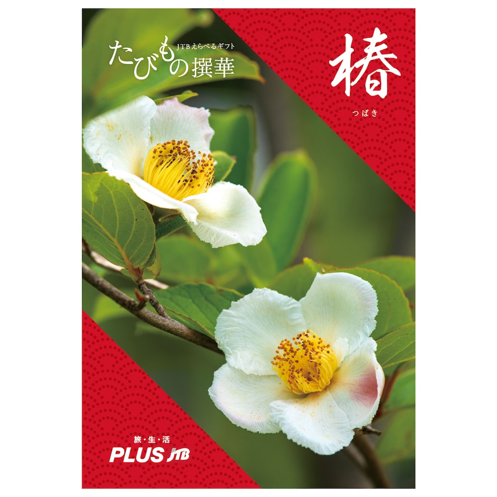【ベルメゾン】【旅行・体験カタログギフト】JTB たびもの撰華