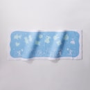 冬の天体観測