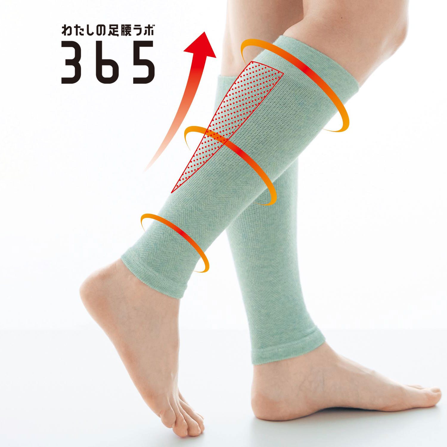 【わたしの足腰ラボ365】ふくらはぎググッとサポーター [日本製]【特許取得/綿混】